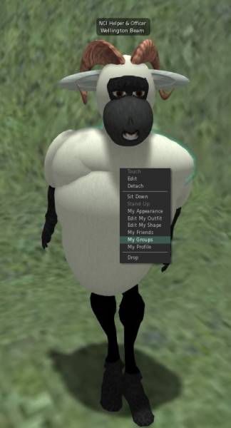 tier-mygroups.jpg tier-mygroups.jpg